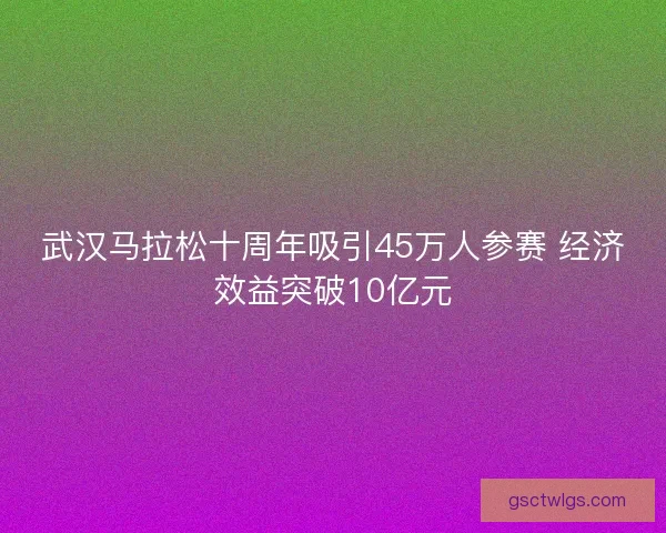 武汉马拉松十周年吸引45万人参赛 经济效益突破10亿元